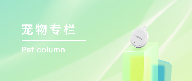 页面背景图